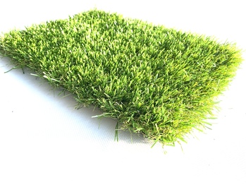 Onderhoudsvriendelijke tuin in Drachten